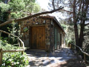 Campamento La Escuela del Bosque - Hernán Pérez Extremadura
